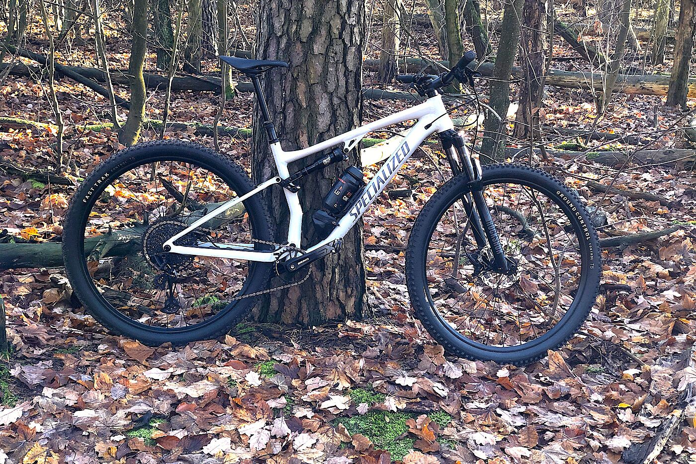 Das MTB Specialized Chisel FS im Wald an einen Baum gelehnt. 